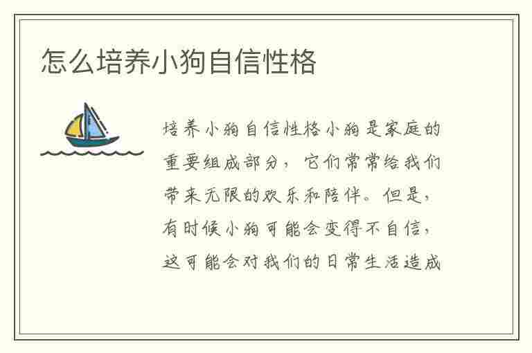 怎么培养小狗自信性格